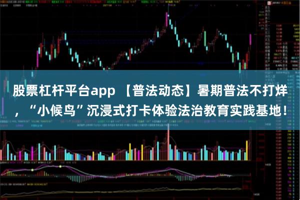 股票杠杆平台app 【普法动态】暑期普法不打烊，“小候鸟”沉浸式打卡体验法治教育实践基地！